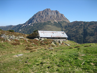 Blick in die Zukunft